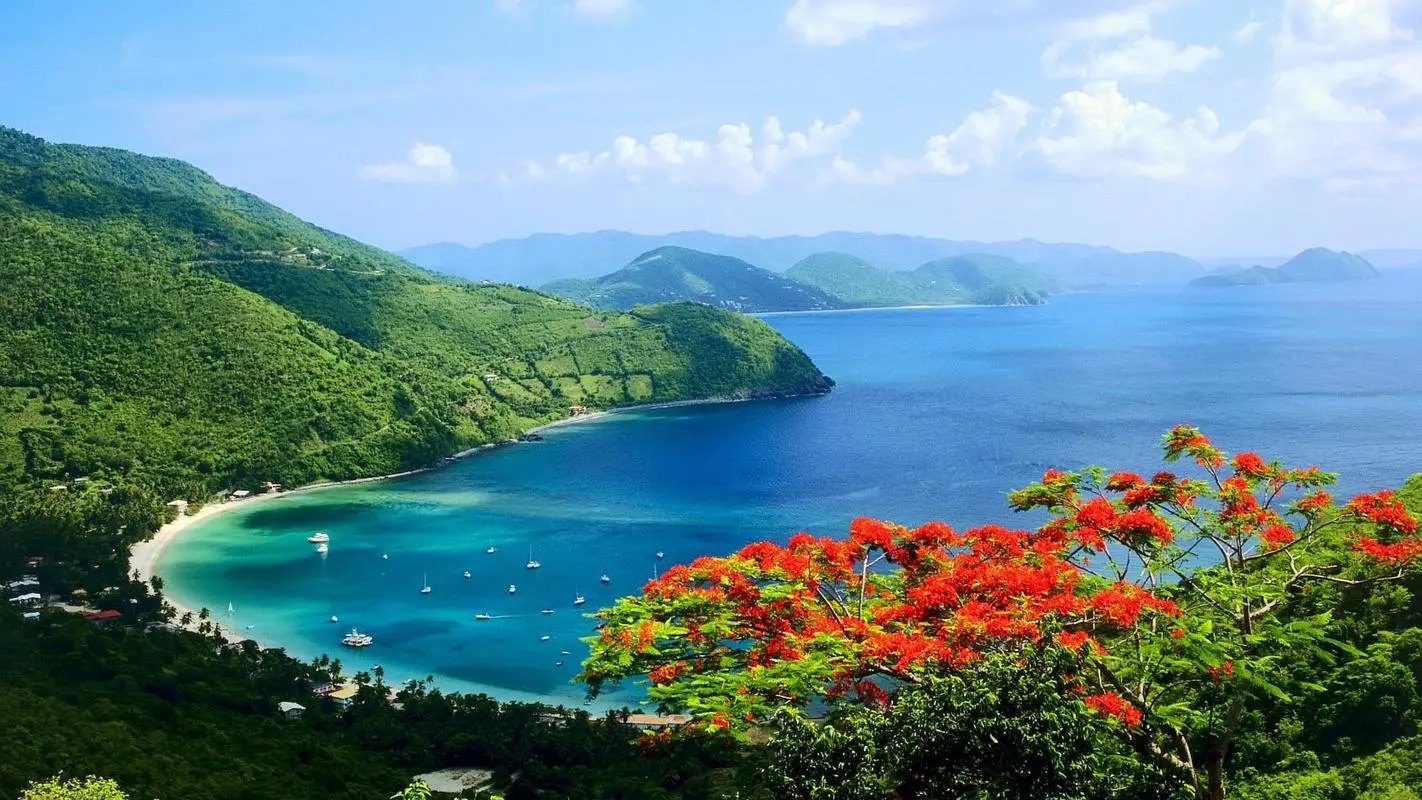 高效智能数字化
